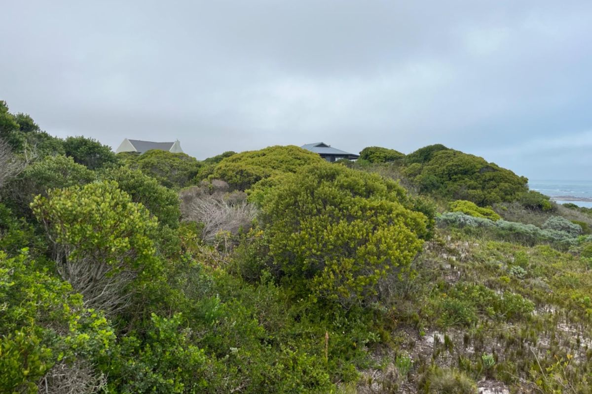 A view of the natural coastal landscape and surrounding vegetation, showcasing the property's scenic outlook and proximity to the coastline.