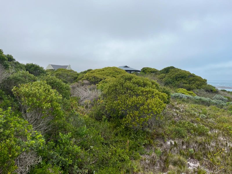 A view of the natural coastal landscape and surrounding vegetation, showcasing the property's scenic outlook and proximity to the coastline.