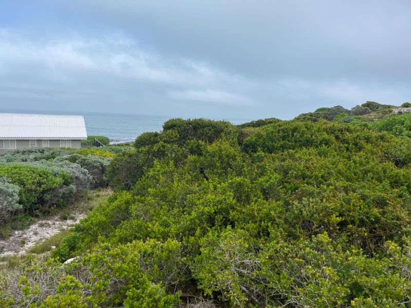 A scenic view of the coastal landscape featuring native vegetation with the ocean visible in the background.