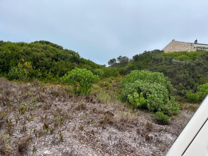 A view of the sloped, undeveloped residential land featuring natural coastal vegetation and shrubs.