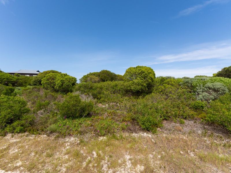 A view of a vacant residential plot featuring natural coastal vegetation and sandy terrain under a clear blue sky.