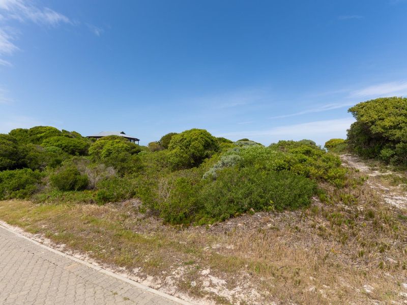 A view of a vacant residential plot featuring native coastal vegetation and a paved street frontage.