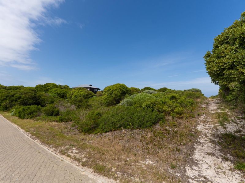 A vacant residential plot featuring natural indigenous vegetation and direct access to a paved road.