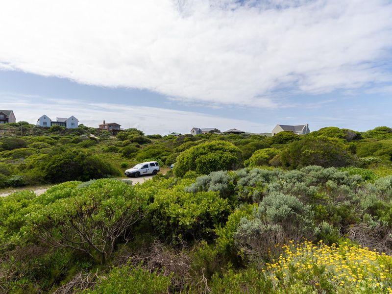 A view of a vacant residential plot featuring native coastal vegetation and an unpaved access track, set within a quiet residential neighbourhood.