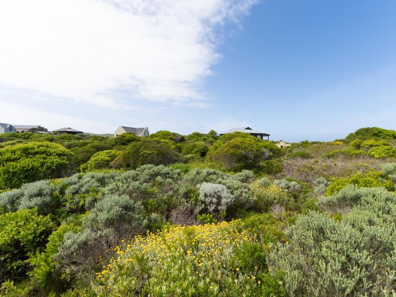 A view of the natural, undeveloped residential land featuring native coastal vegetation and surrounding neighborhood homes in the distance.