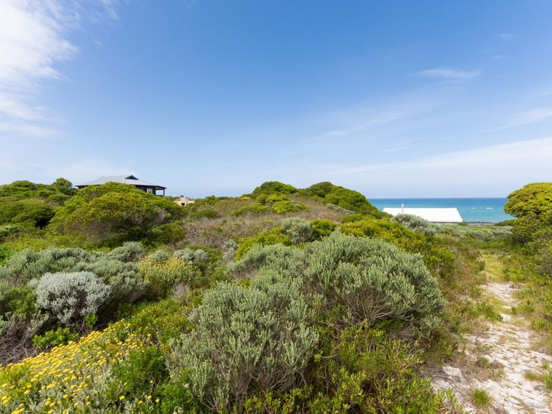 A scenic view of the coastal landscape featuring native vegetation with the ocean in the background.
