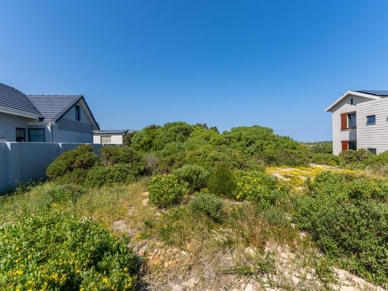 A vacant residential plot featuring natural coastal vegetation, bordered by established residential properties with boundary walls.