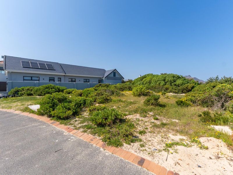 A vacant residential plot featuring native vegetation, bordered by a paved driveway with brick edging, situated in a quiet neighborhood setting.