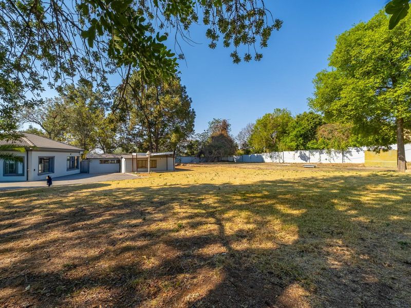 A spacious residential backyard featuring mature trees, a perimeter wall, and a paved driveway area, offering significant potential for landscaping or development.
