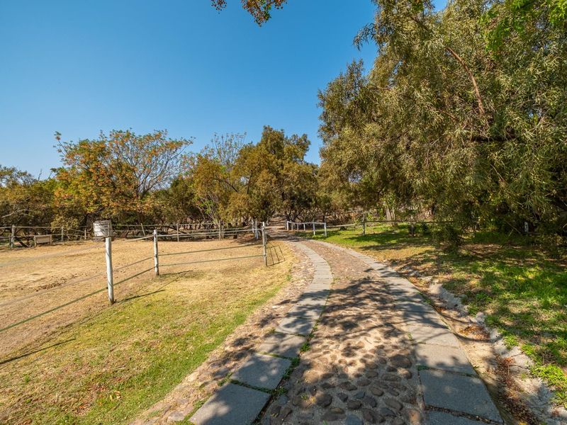A scenic garden pathway featuring stone paving, bordered by wire fencing and mature trees in a natural outdoor setting.