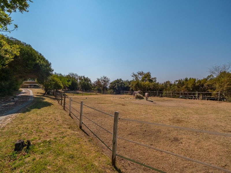A spacious outdoor paddock area featuring post and rail fencing, mature trees, and a paved driveway leading towards the property.