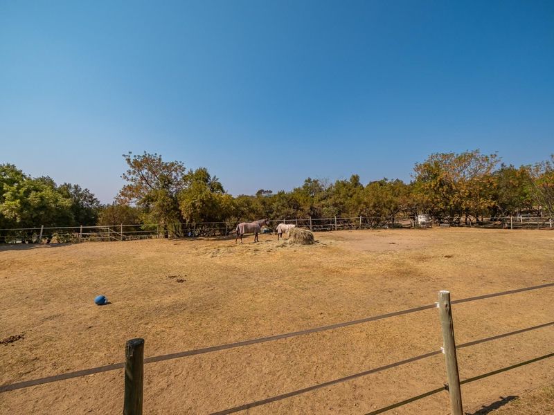 A spacious outdoor paddock area enclosed by post and rail fencing, featuring open grass land and mature trees.