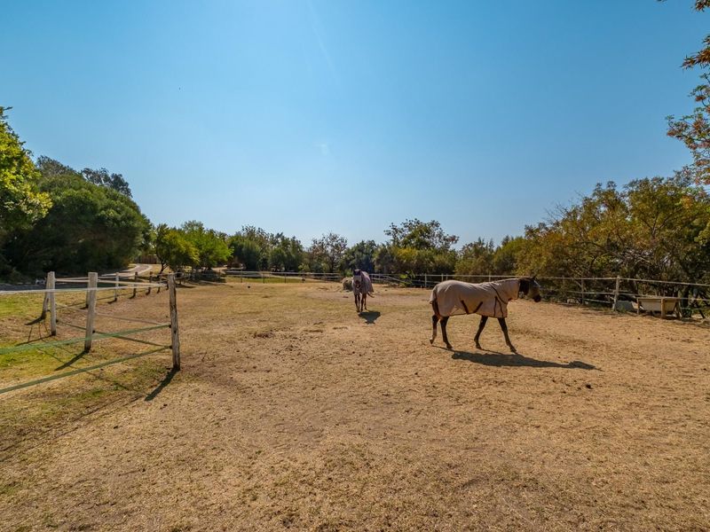 A spacious outdoor paddock area featuring post and rail fencing, suitable for equestrian use or general garden space.