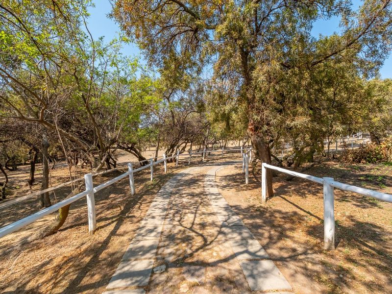 A landscaped garden area featuring a paved pathway lined with white timber post and rail fencing and mature trees.