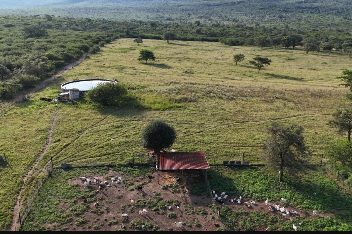 Aerial view of a farm property featuring expansive grazing land, a water reservoir, and a fenced livestock enclosure with a covered shelter.