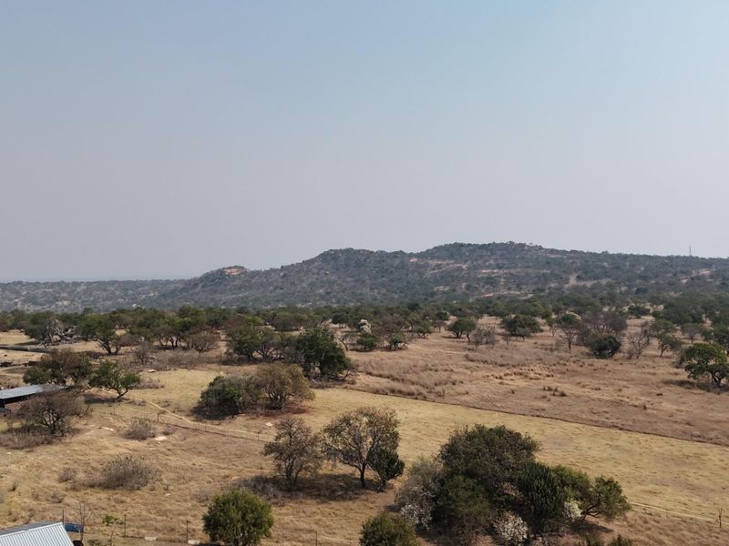An aerial view of the expansive farm landscape, showcasing open grazing fields, scattered trees, and distant hills under a clear sky.