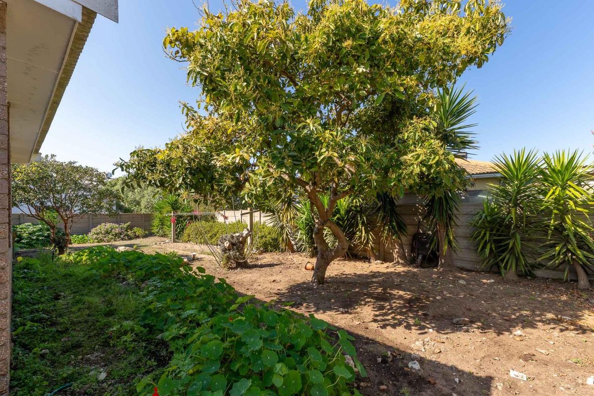 A rear garden area featuring mature trees, established shrubs, and a precast concrete boundary wall, offering potential for landscaping and outdoor improvement.