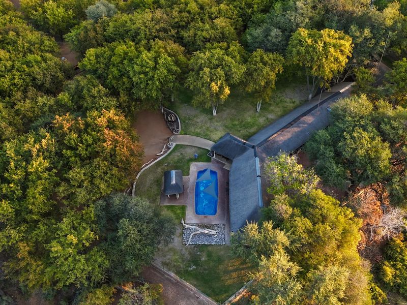 Aerial view of a farm property featuring a swimming pool, thatched roof structures, and extensive surrounding woodland.