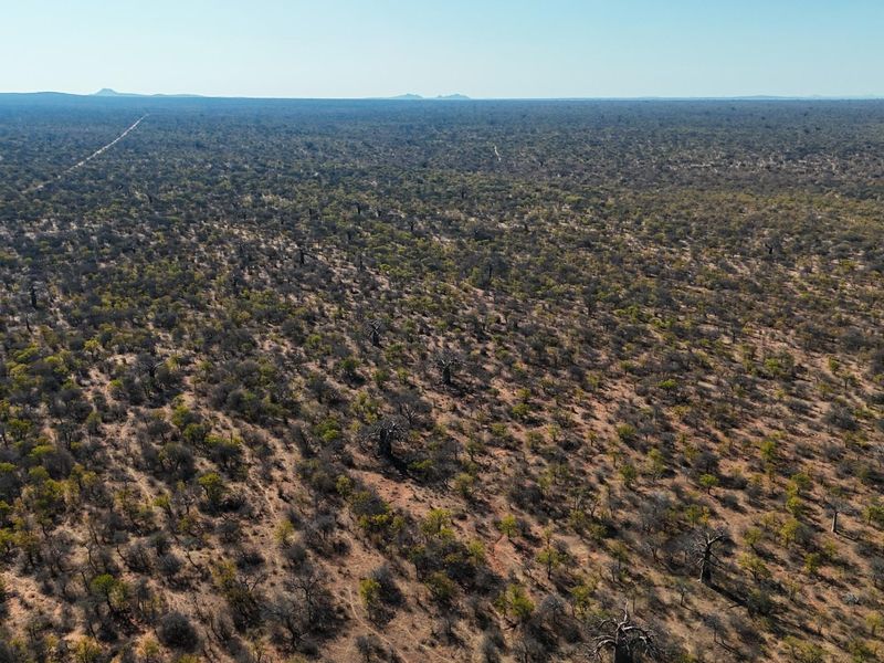 An expansive aerial view of the vast, natural bushveld landscape, showcasing the extensive terrain and indigenous vegetation of the farm property.