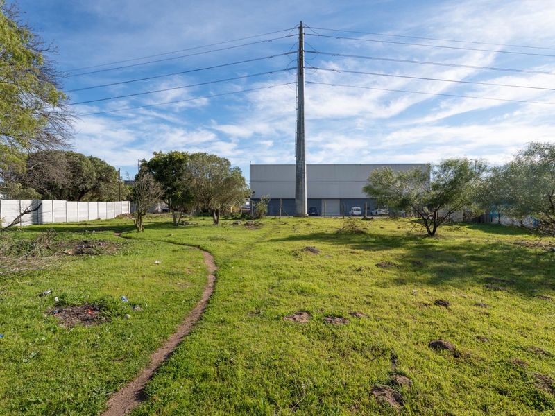 A vacant residential plot featuring a grassy area, mature trees, a precast concrete boundary wall, and a prominent utility power pole.