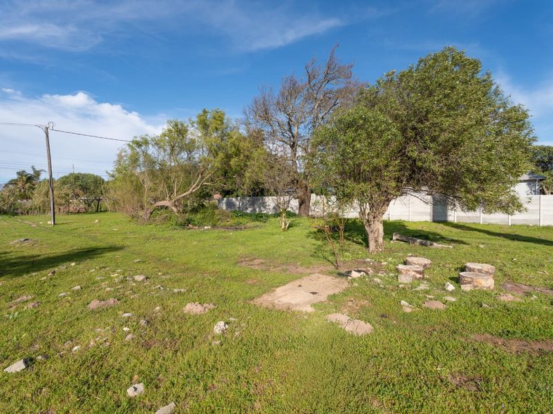 A vacant residential plot featuring established trees, grass coverage, and a precast concrete boundary wall, offering a blank canvas for development.