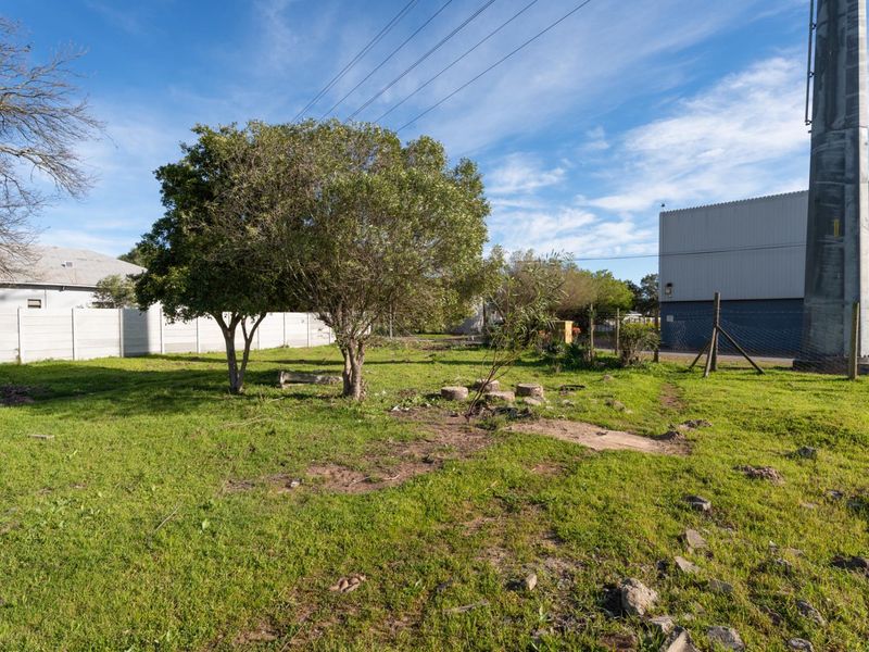 A vacant residential plot featuring grass coverage, mature trees, a precast concrete boundary wall, and an adjacent utility pole.