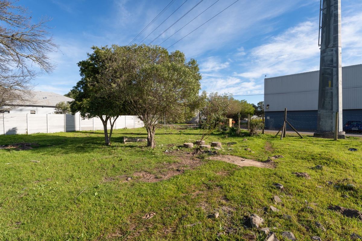 A vacant residential plot featuring grass coverage, mature trees, a precast concrete boundary wall, and an adjacent utility pole.