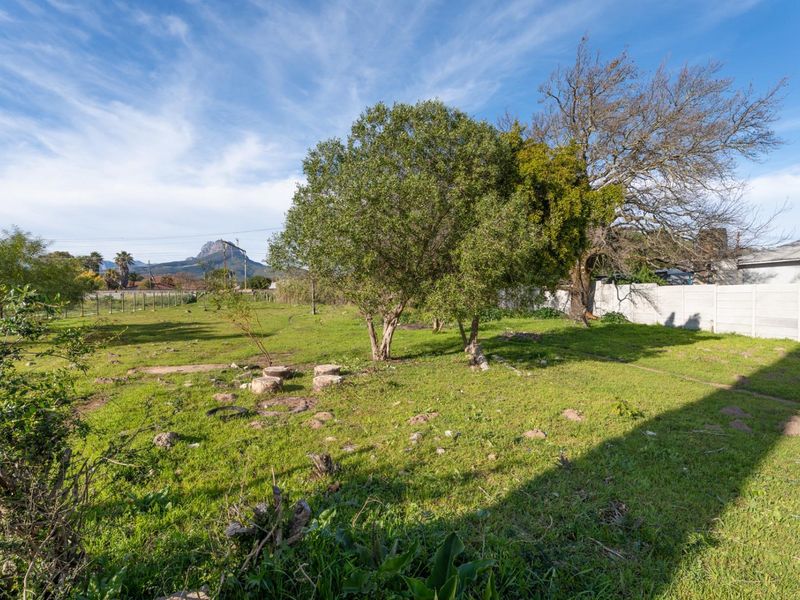 A spacious residential vacant land plot featuring mature trees, grassed terrain, and secure boundary fencing with mountain views in the distance.