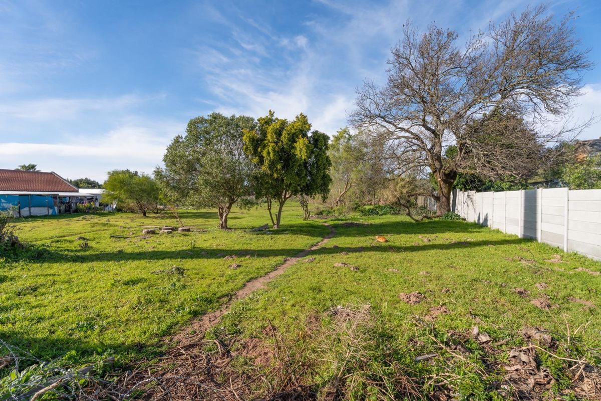 A spacious, open residential plot featuring established trees, a natural grass lawn, and a precast concrete boundary wall.