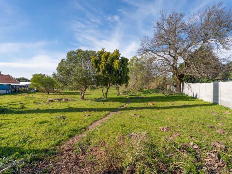 A spacious, open residential plot featuring established trees, a natural grass lawn, and a precast concrete boundary wall.