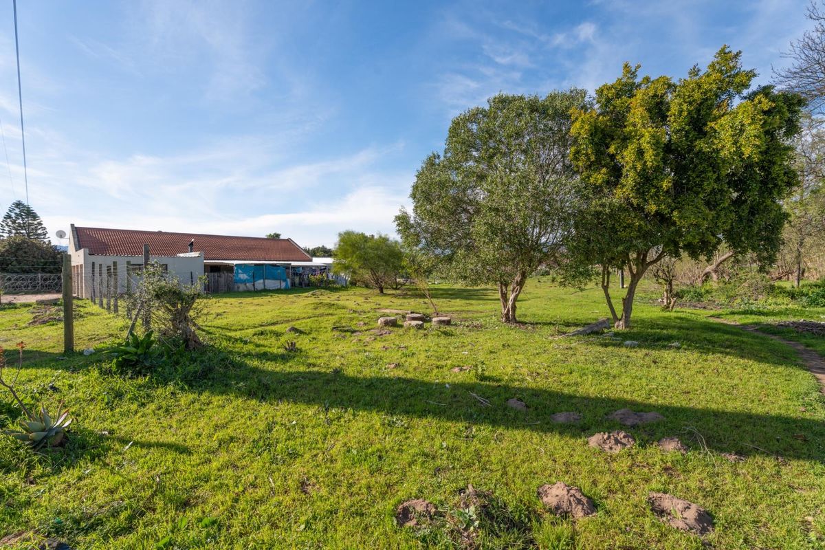 A spacious, open residential plot featuring established trees, a grass lawn, and perimeter fencing, offering potential for future development.