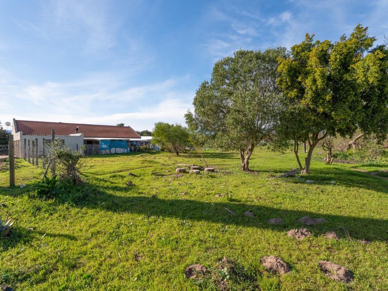A spacious, open residential plot featuring established trees, a grass lawn, and perimeter fencing, offering potential for future development.