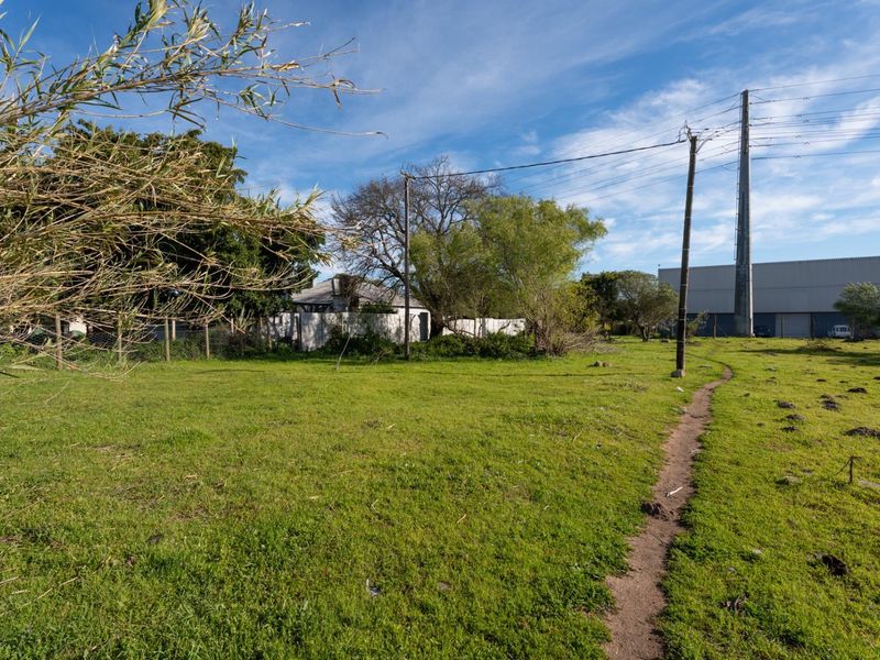 A vacant residential plot featuring open grass, mature trees, and existing utility infrastructure, offering a blank canvas for future development.