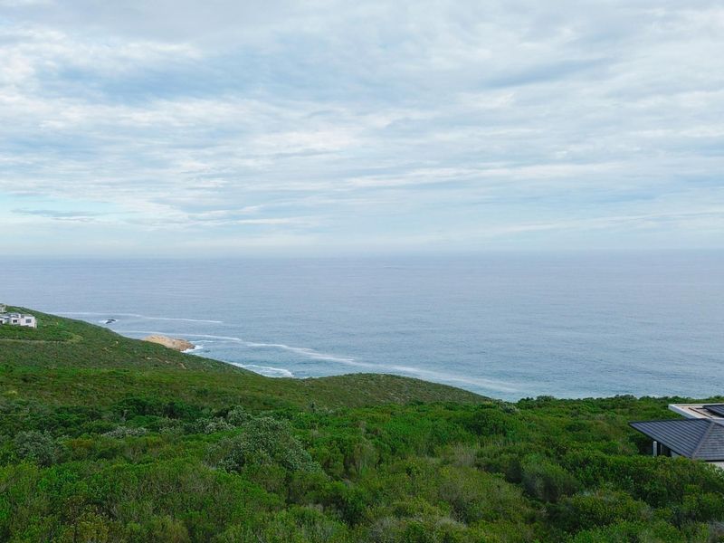 A scenic elevated view overlooking the coastline, natural vegetation, and the ocean, showcasing the property's prime location.