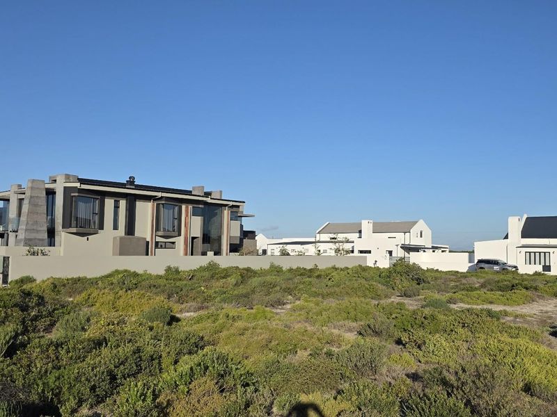 A view of modern residential properties situated in a coastal landscape with native vegetation and clear blue skies.
