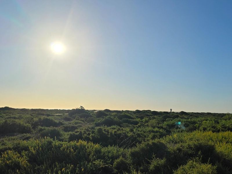 A scenic view of the natural coastal landscape and vegetation, featuring a clear horizon and a portion of a modern boundary wall.