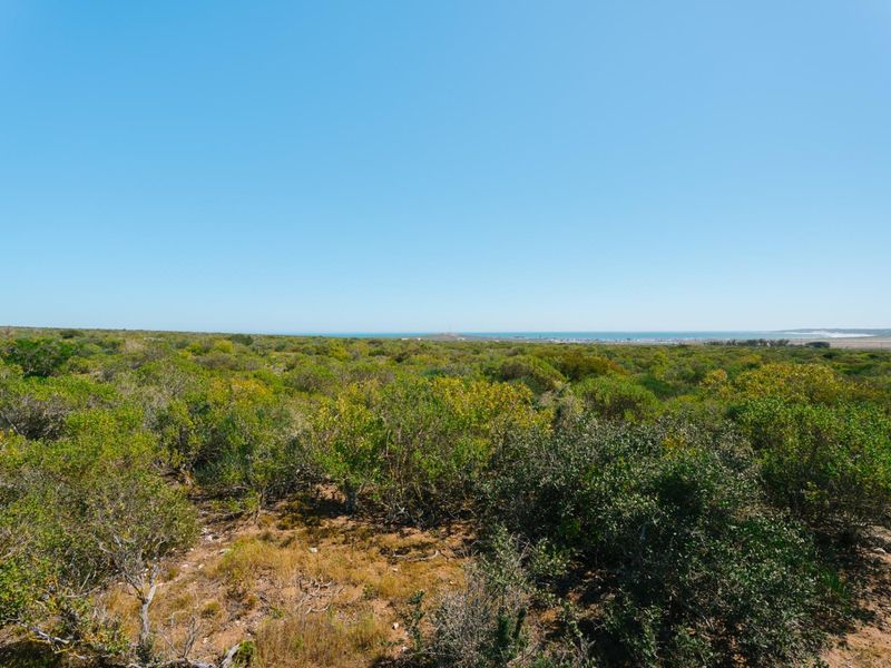 Expansive landscape view overlooking natural coastal vegetation with a distant horizon line.