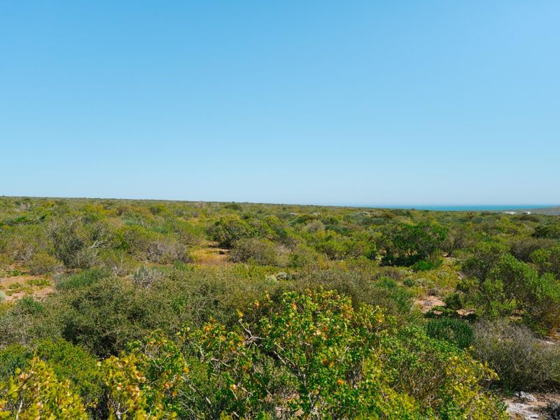 Expansive view of the natural coastal landscape and indigenous vegetation, showcasing the open terrain of the farm property.