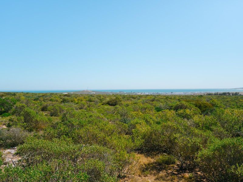 A scenic view overlooking expansive native coastal vegetation with the ocean visible in the distance.