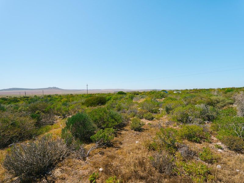 Expansive view of the natural farm landscape featuring indigenous vegetation and open terrain under a clear blue sky.