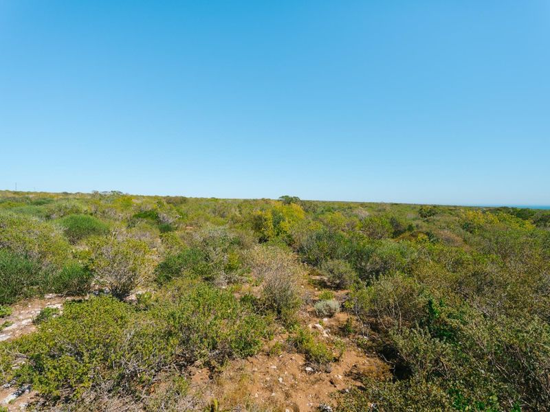 Expansive view of the natural coastal landscape and native vegetation on the farm property.