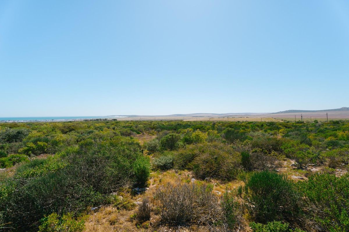 A wide-angle view of the expansive natural landscape, featuring indigenous vegetation and distant coastal scenery.