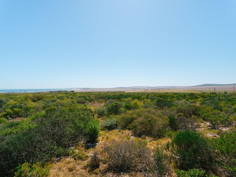A wide-angle view of the expansive natural landscape, featuring indigenous vegetation and distant coastal scenery.