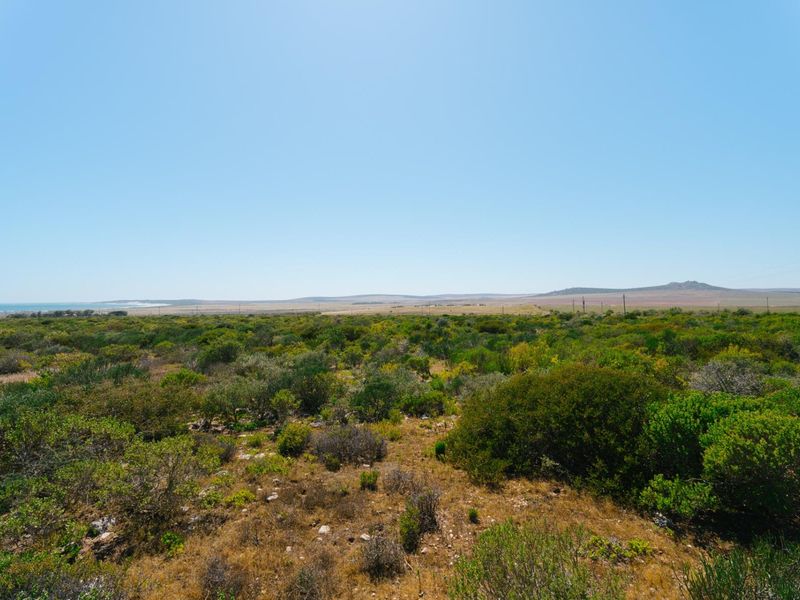 Expansive panoramic view of the natural coastal landscape and surrounding farm terrain under a clear blue sky.