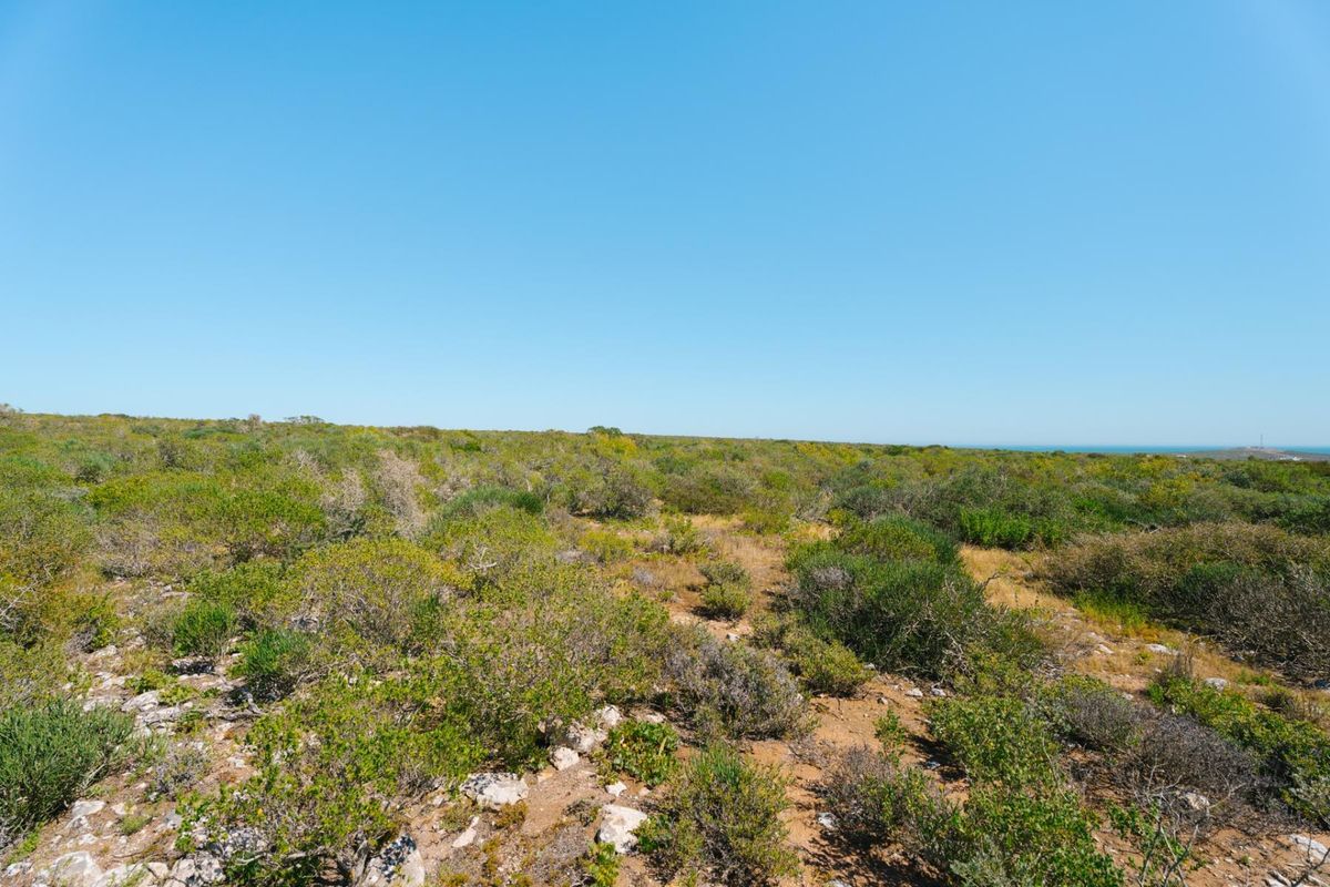 Expansive view of the natural coastal landscape and indigenous vegetation on the farm property.