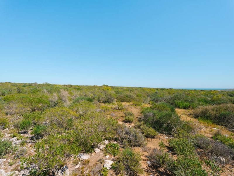 Expansive view of the natural coastal landscape and indigenous vegetation on the farm property.