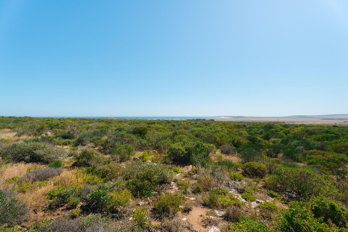 Expansive landscape view overlooking natural coastal vegetation and open terrain, showcasing the property's rural setting and horizon.