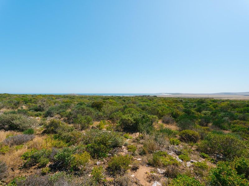 Expansive landscape view overlooking natural coastal vegetation and open terrain, showcasing the property's rural setting and horizon.