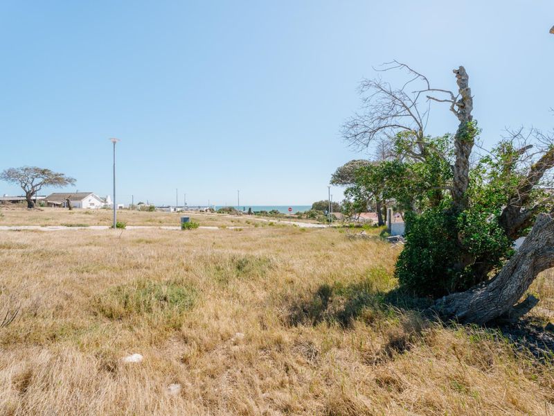 A view across the vacant residential land towards the distant coastline and horizon.