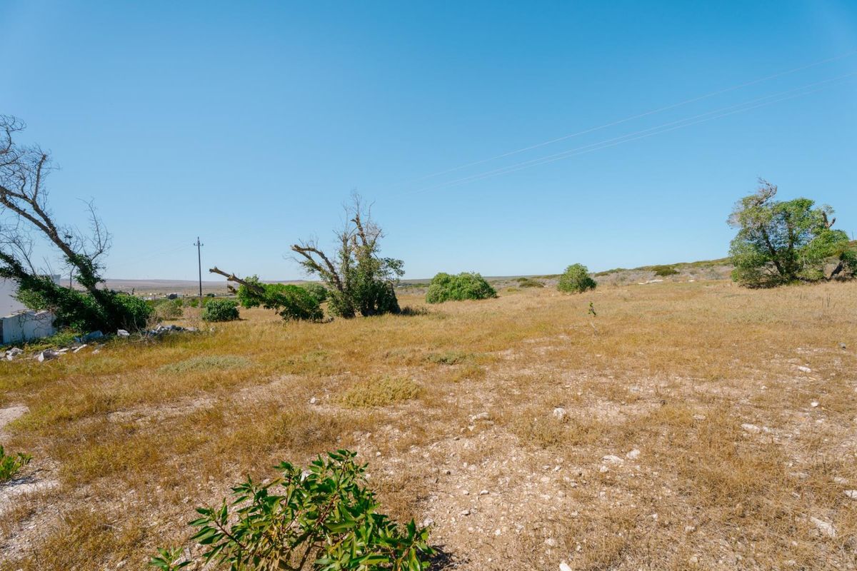 A view of a vacant residential plot featuring natural vegetation and a utility pole under a clear blue sky.